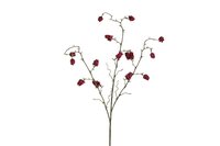 Countryfield zijden bloem abutilon 95 cm paars