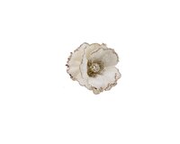 Bloem polyester fluweel 14 cm parel