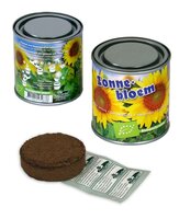 Boeketje in blik zonnebloem BIO
