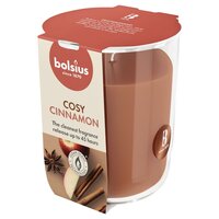 Bolsius geurglas true scents apple cinnamon L