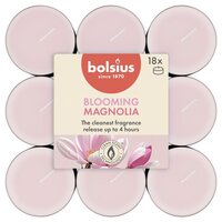 Bolsius geurtheelicht true scents magnolia 18 stuks