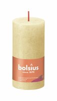 Bolsius kaars rustiek 10x5 cm oat beige