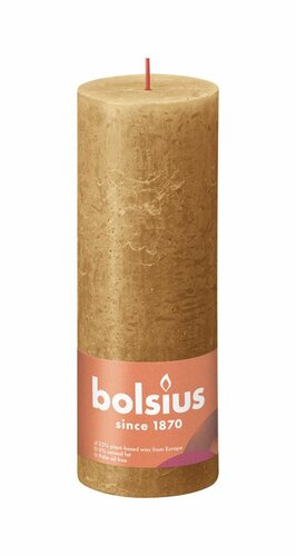 Bolsius kaars rustiek 7x19 cm spice brown
