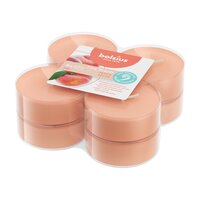 Bolsius maxilicht true scents peach 8 stuks