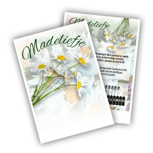 Cadeau premium Madelief (100 zakjes)
