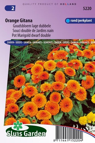 Calendula Officinalis zaden Orange Gitana goudsbloem