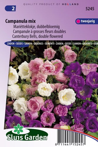 Campanula zaden dubbel Choice Mix klokjesbloem