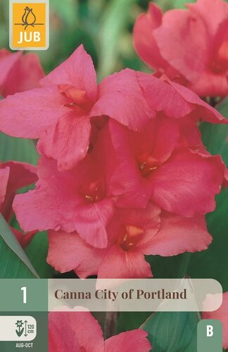 Canna city of Portland - afbeelding 1