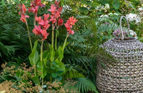 Canna city of Portland - afbeelding 2