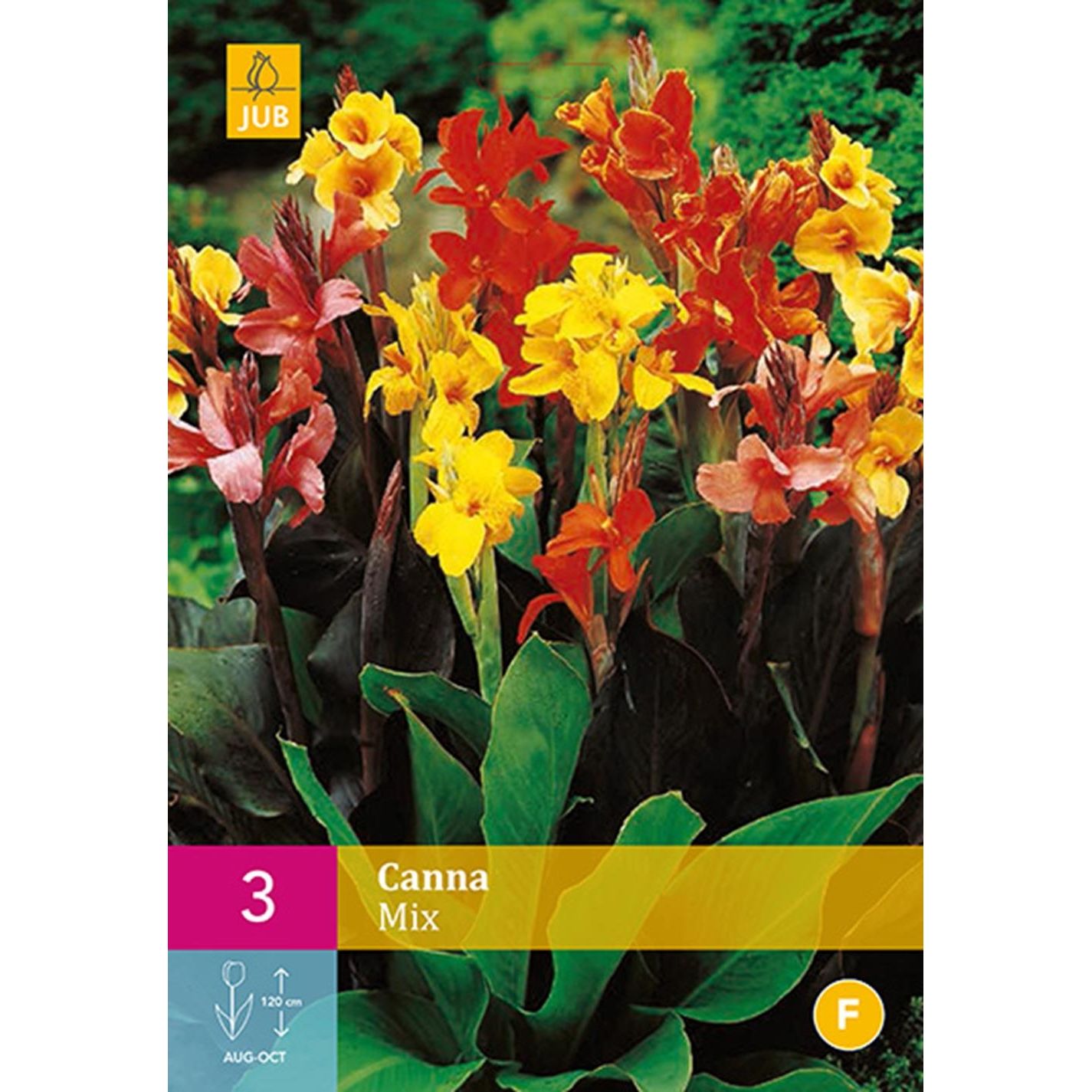 Canna mix 3 bollen