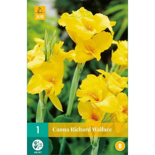 Canna Richard Wallace - afbeelding 1