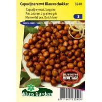 Capucijners zaden Blauwschokker