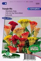 Celosia Argentea zaden Triangle mix hanekam