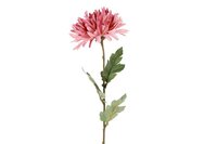 Countryfield zijden Chrysanthemum vienna 68 cm roze