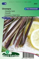 Citroengras Sereh zaden Citronella