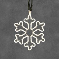 Luca Connect 24 sneeuwvlok 120 lamps warm wit