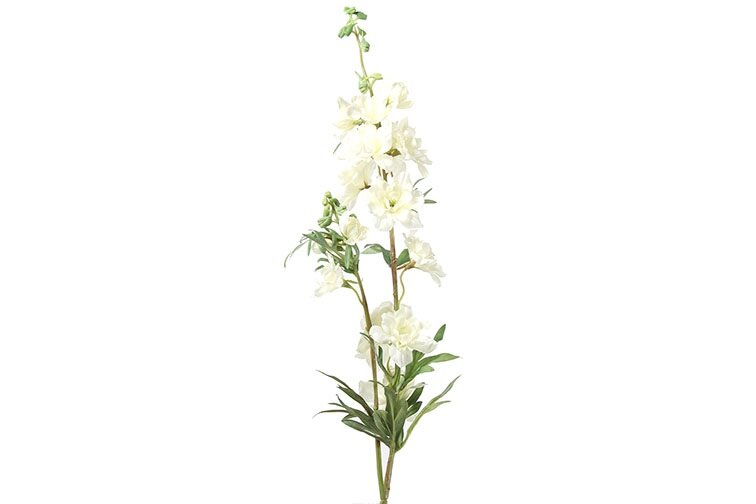 Countryfield Delphinium Jesika crème