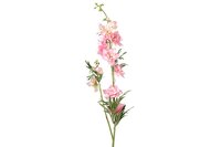 Countryfield Delphinium Jesika roze