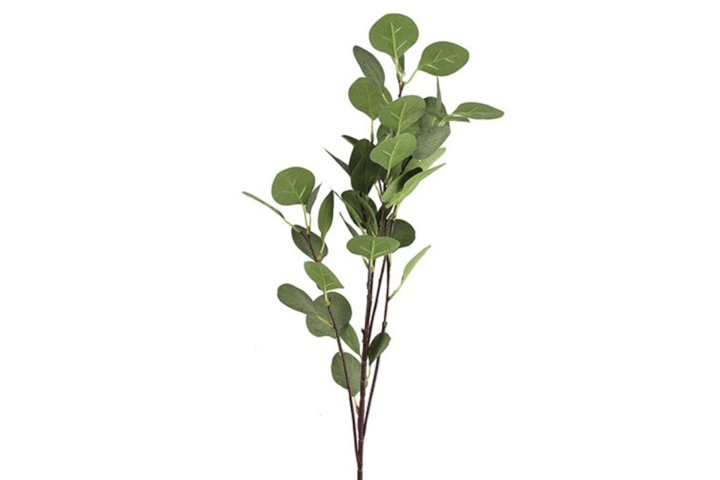 Countryfield Eucalyptus groen