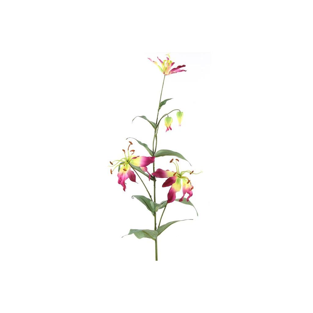 Countryfield Gloriosa aubergine