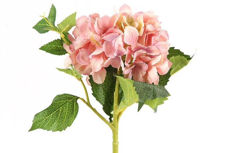 Countryfield Hortensia roze