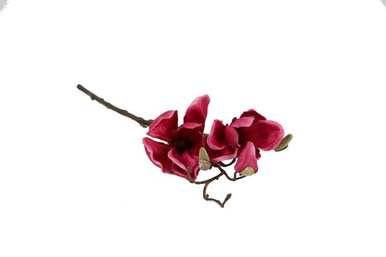 Countryfield Magnolia Cinthya fuchsia