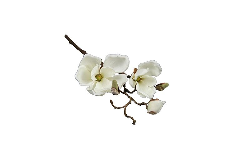 Countryfield Magnolia Cinthya wit