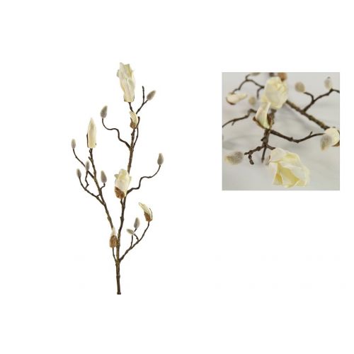 Countryfield magnolia in knop kelsey wit