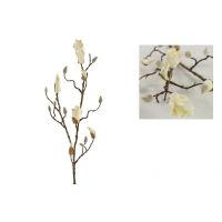 Countryfield magnolia in knop kelsey wit
