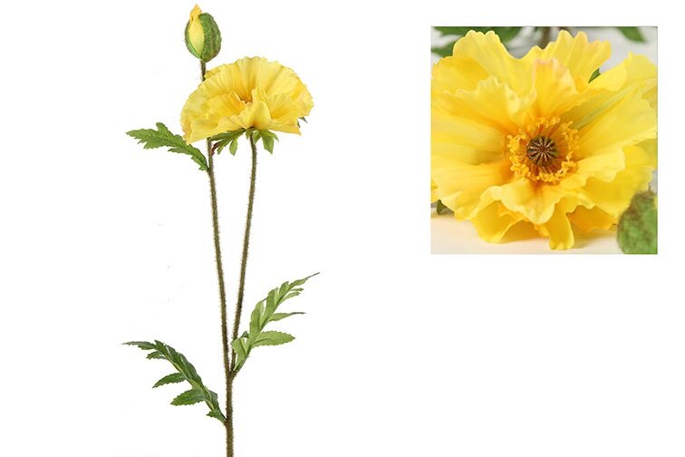 Countryfield Papaver Vere geel