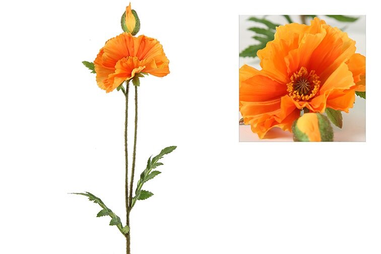 Countryfield Papaver Vere licht oranje