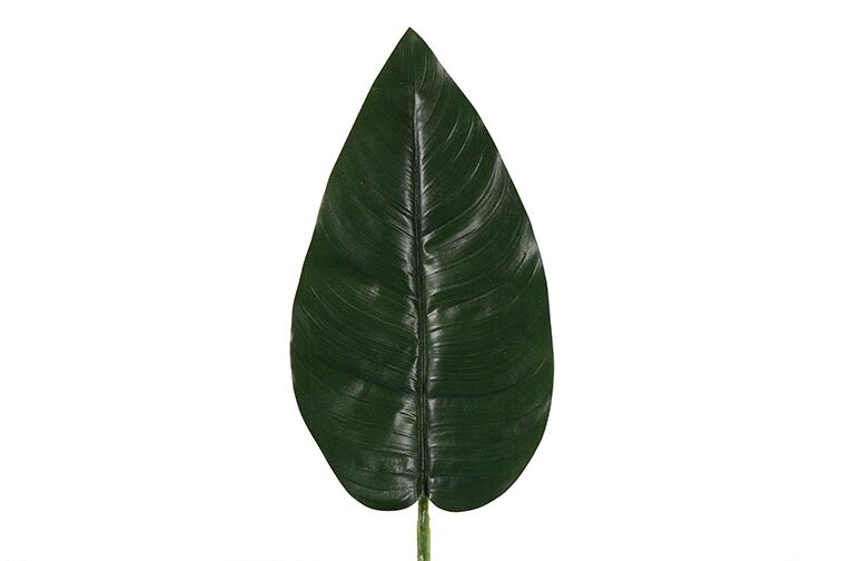 Countryfield spathiphyllum Vaja S groen