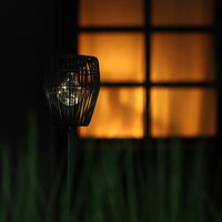 Countryfield tuinsteker solar Hester 70 cm zwart - afbeelding 2