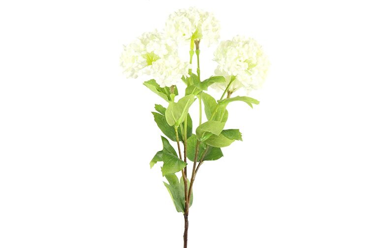 Countryfield Viburnum crème