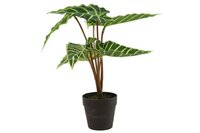 Countryfield zijden Alocasia Liane 33 cm groen