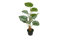 Countryfield zijden Alocasia sarawakensis plant 62 cm groen