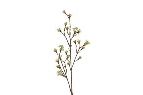Countryfield zijden bloem Acer 87 cm wit