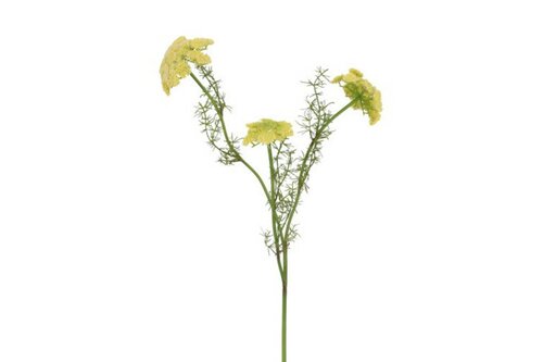 Countryfield zijden bloem Ammi 73 cm geel
