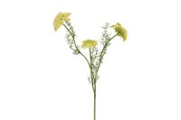 Countryfield zijden bloem Ammi 73 cm geel