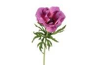 Countryfield zijden bloem Anemone L 52 cm lila