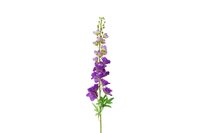Countryfield zijden bloem Delphinium Pacific XL 103 cm paars