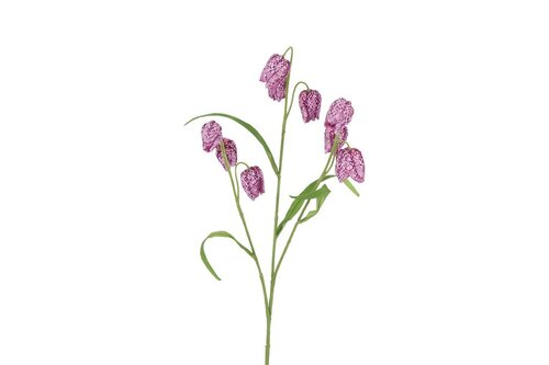 Countryfield zijden bloem Fritullaria 70 cm paars