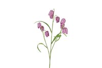 Countryfield zijden bloem Fritullaria 70 cm paars