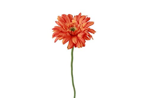 Countryfield zijden bloem Gerbera Leanne 60 cm oranje