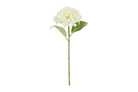 Countryfield zijden bloem hortensia Aletta 40 cm wit