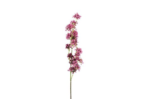 Countryfield zijden bloem Matthiola 120 cm roze