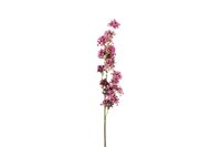 Countryfield zijden bloem Matthiola 120 cm roze