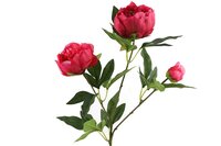 Countryfield zijden bloem Paeonia 73 cm fuchsia