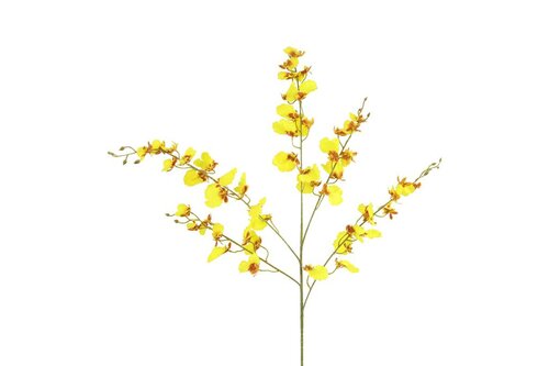 Countryfield zijden bloem Phalaenopsis 90 cm geel