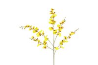 Countryfield zijden bloem Phalaenopsis 90 cm geel